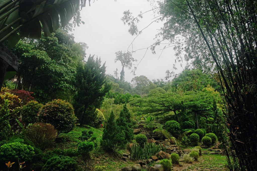 Harmony Valley Retreat Bukit Tinggi Eksteriør billede