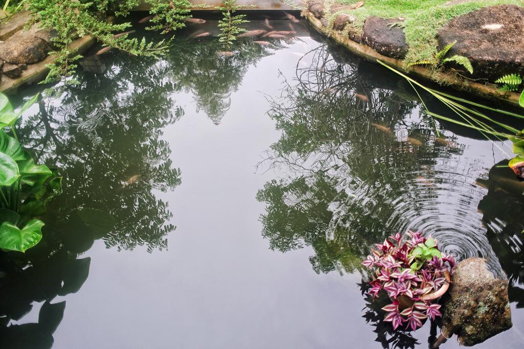 Harmony Valley Retreat Bukit Tinggi Eksteriør billede